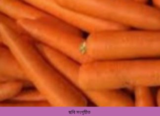 শীতকালীন সবজি গাজর খেলে কী হয়?
