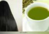চুলের যত্নে গ্রিন কফি’র ব্যবহার কেন?