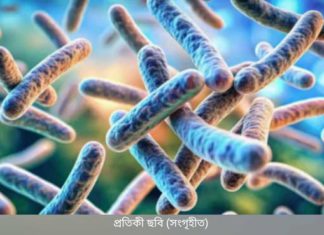 রংপুরে অ্যানথ্রাক্সে আক্রান্ত আটজন রোগী শনাক্ত